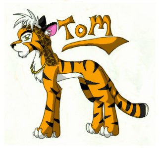 Tom the tiger by Tabery_kyou