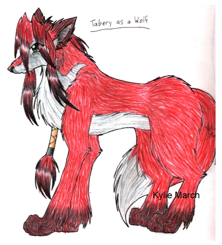 Tabery as a Wolf by Tabery_kyou