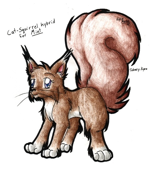 Cat/Squirrel(Request for Mint) by Tabery_kyou