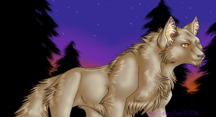 OMG Shiny Wolf by Tabery_kyou