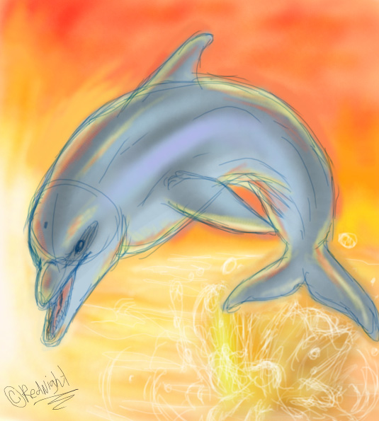 dolphin 2 by Taiga