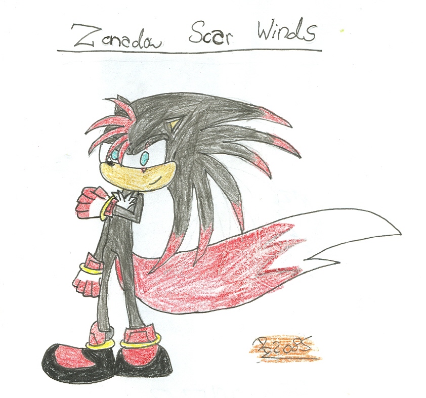ZSW-request for ShadowHedgehog by Tails2085