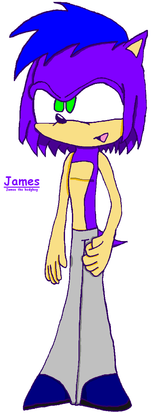 James the hedgehog *new look* by Tails2085