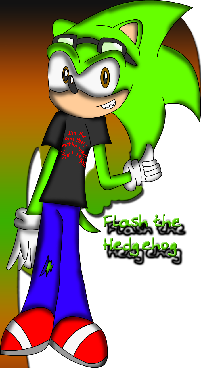 Flash the Hedgie (Request) by Tails2085