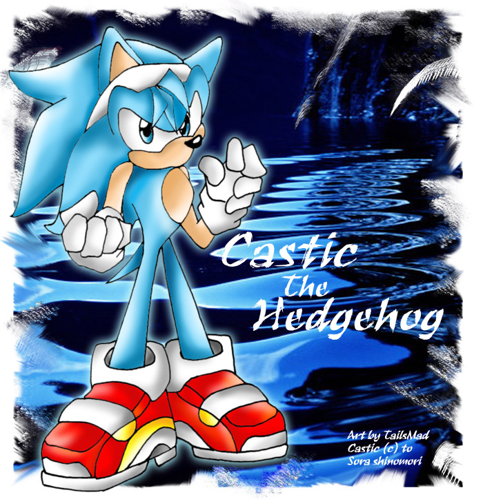 Castic The Hedgehog request by TailsMad