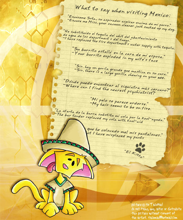 Stupid things to say when in Mexico by TailsMad