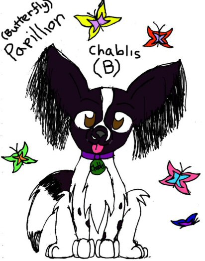 my dog, chibi (a special gift for wings_ebonstar) by Taina_Kumori
