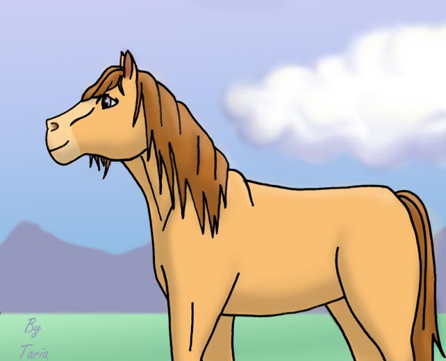 A horse by Taria