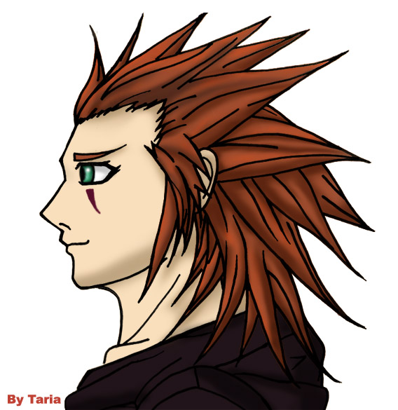 Axel no background sorry by Taria