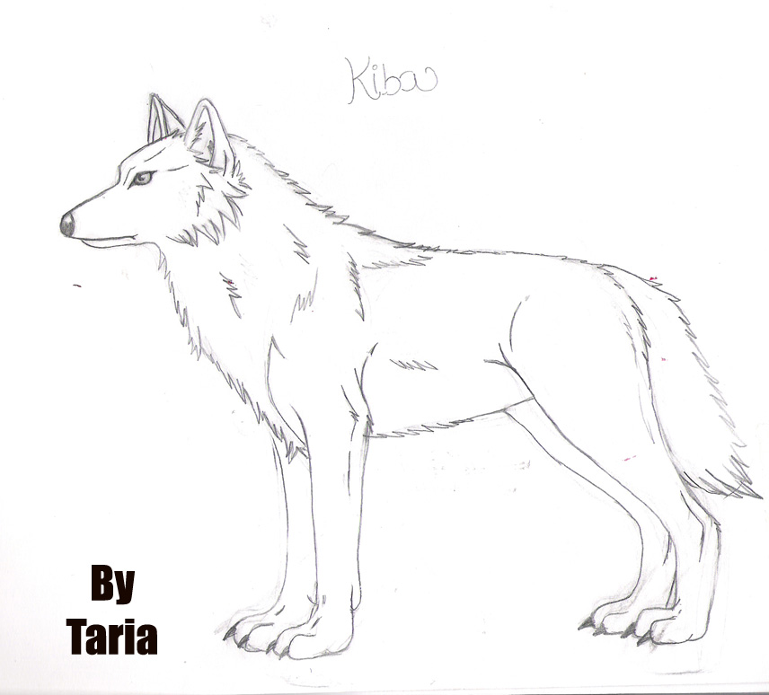 Wolf Kiba!  pencil by Taria