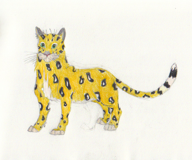 Curious Jaguar by Taslin