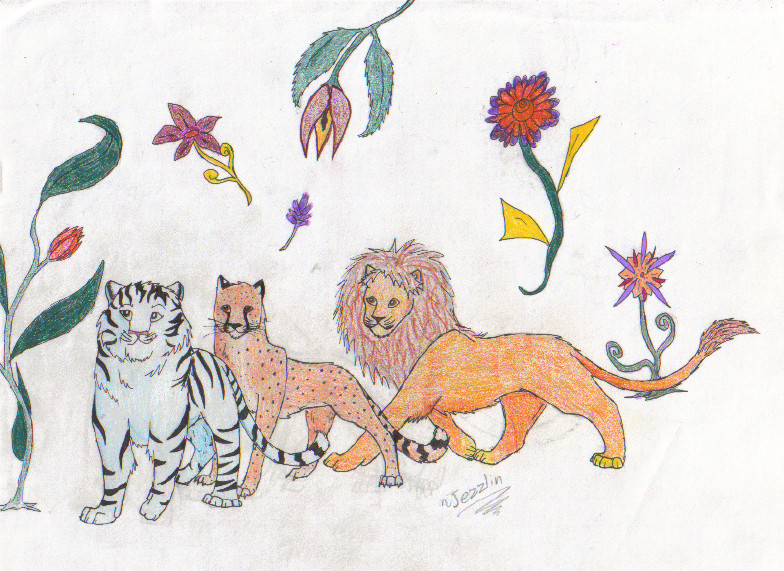 Tiger, Cheetah, Lion by Taslin