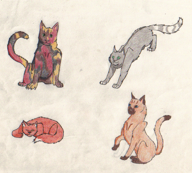 Four Cats by Taslin