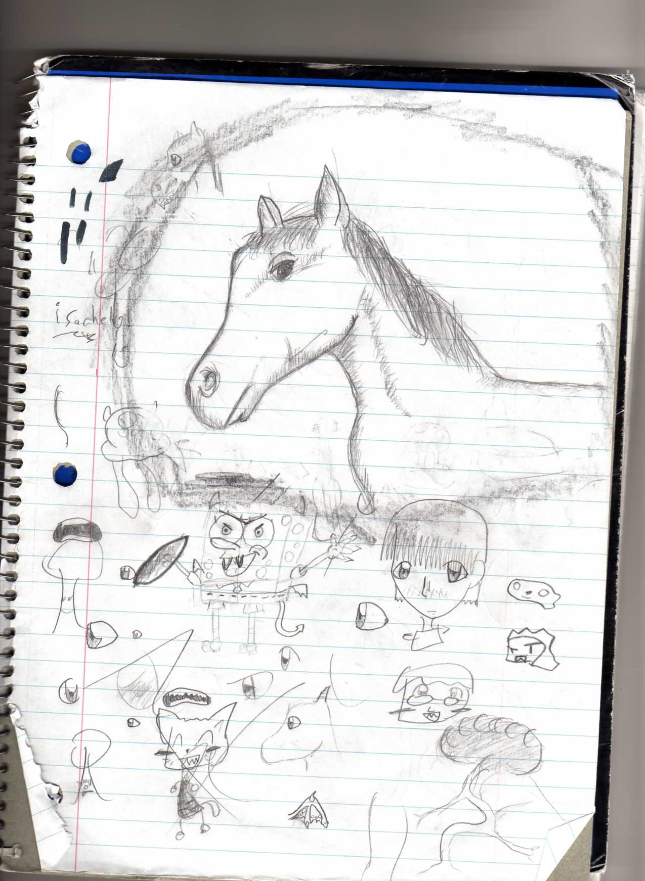 Horse Sketch (and doodles) by Tatter_13