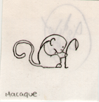 !Macaque *Fidow*! by Tedman