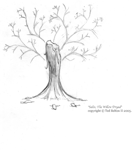 salix, the willow dryad (updated) by Tedman