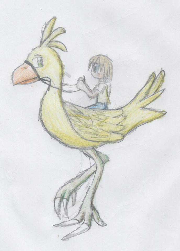 Tidus Riding a Chocobo by Teehee111