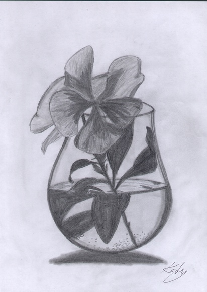 A vase of flowers O.o by Teemu