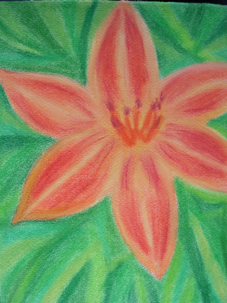 A orange Lily (pastels) by Teemu