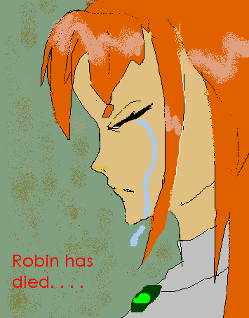 robin has died..... by TeenAvaGo_1
