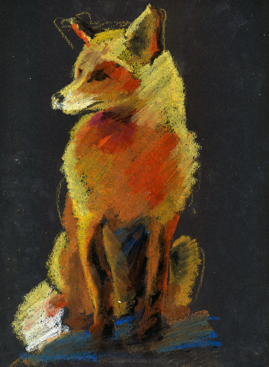 Fox sketch by Templado