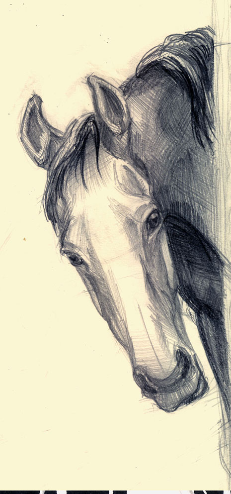 a Horse by Templado