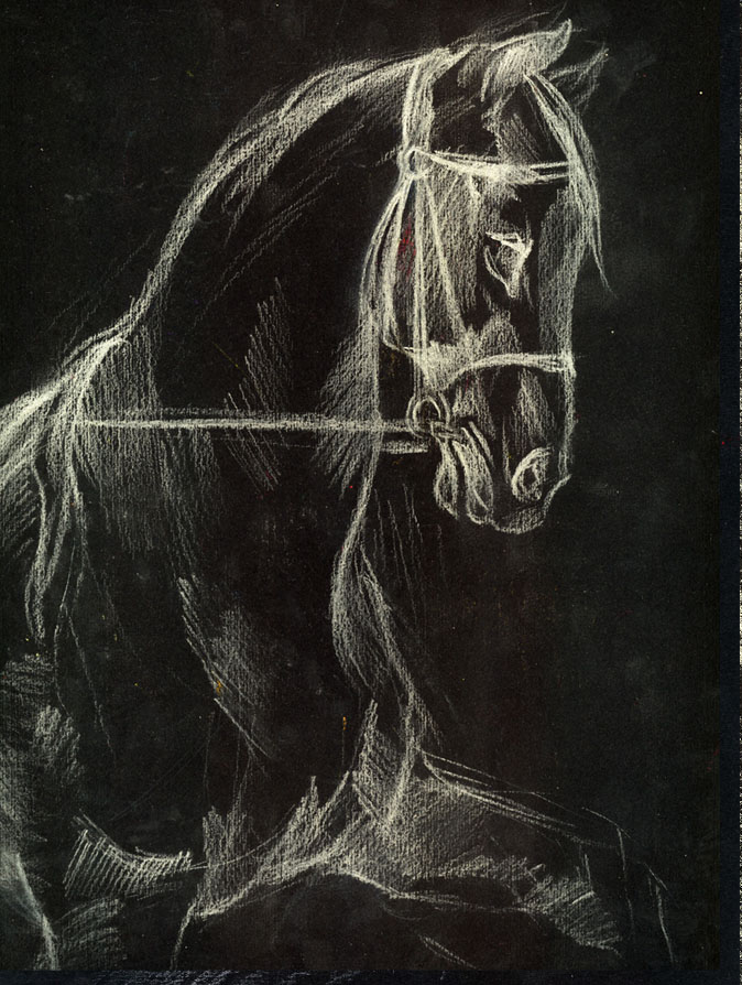 Horse by Templado