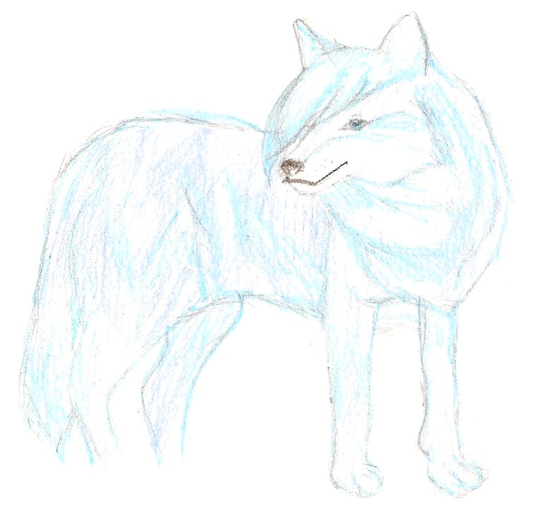 Liney Wolf by Terra_Kitsune