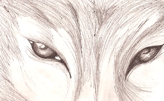 wolf eyes by Terra_Kitsune