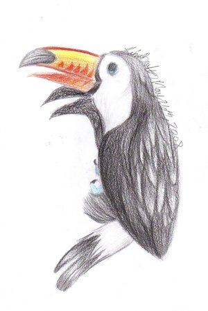 Toco Tucan by TheAma