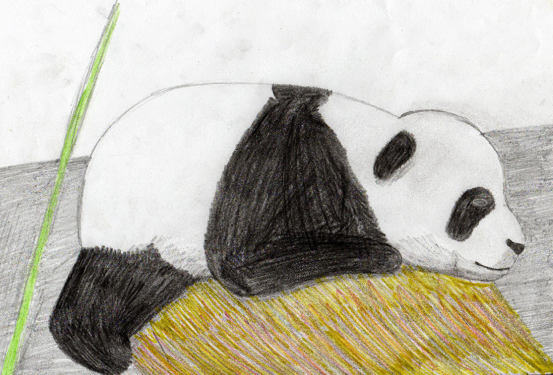 Baby Panda by TheBassPlayingPanda