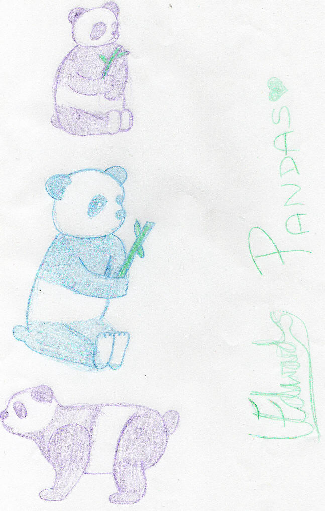 Pandas by TheBassPlayingPanda