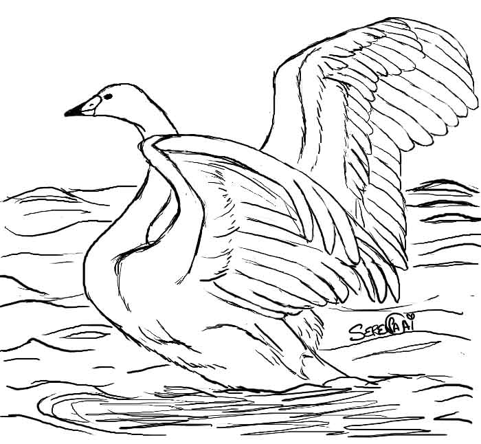Swan~ by TheCrystalDragon