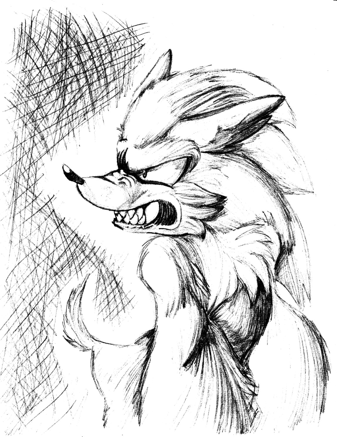 OH GOD IT'S A WEREHOG by TheGameArtCritic