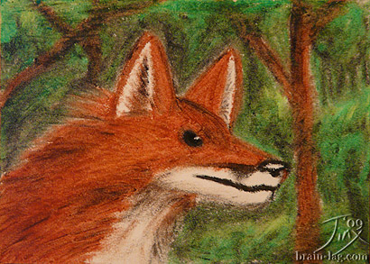 Red fox by TheJinx