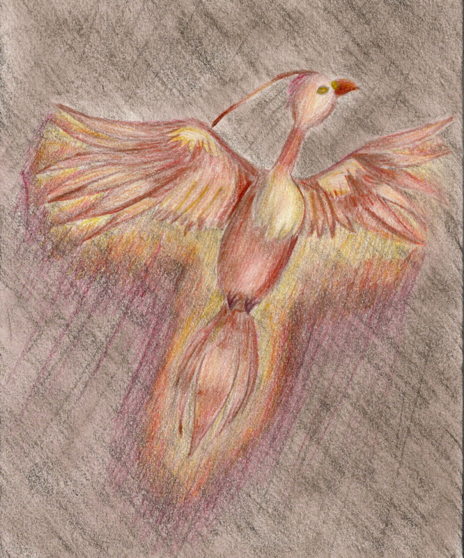 Happy Birthday PhoenixBird! by TheREALViolet
