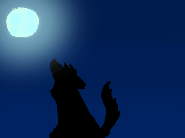 Wolf at night by TheRealSlimShady