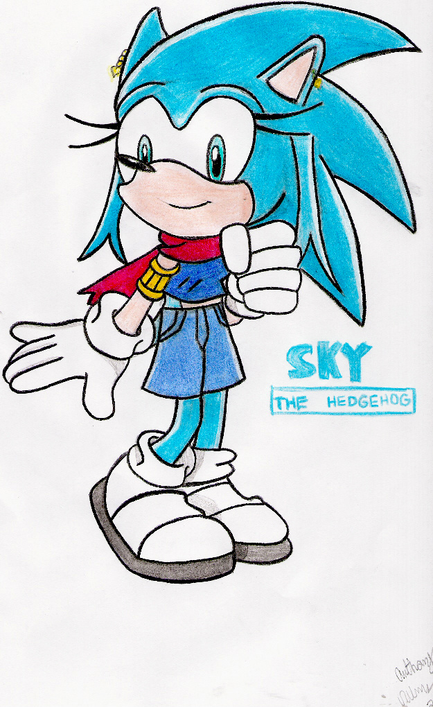 Sky The Hedgehog by TheSpeedKing