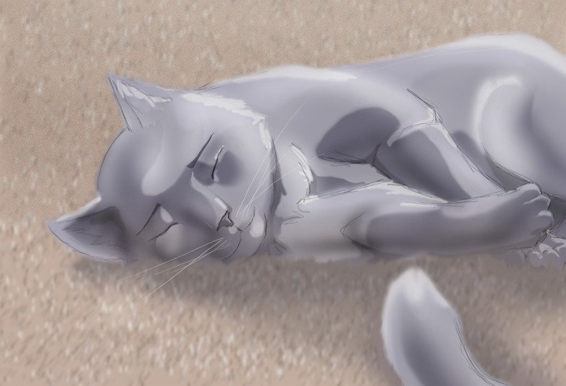 Carpet Cat by TheUglyDuckling