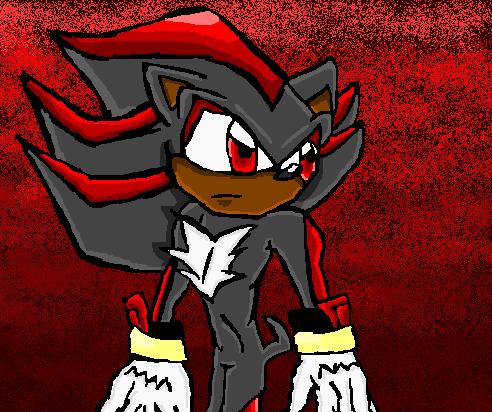 Uh... Shadow. by TheUltimateLifeForm