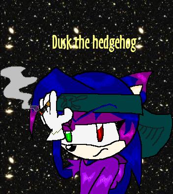 Dusk The Hedgehog by TheUltimateLifeForm