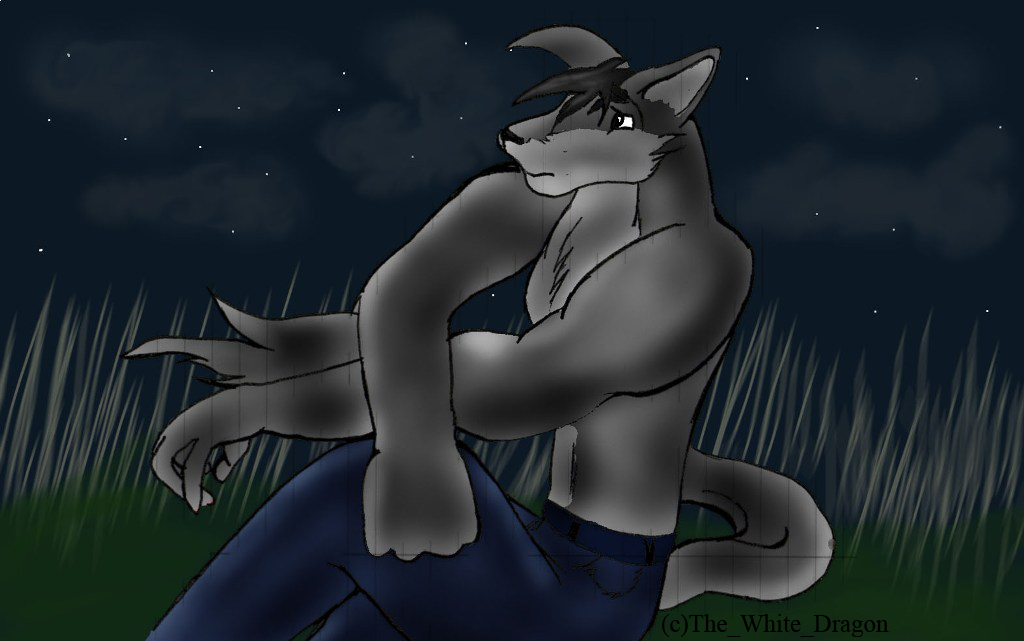 Night sky lone wolf by The_White_Dragon