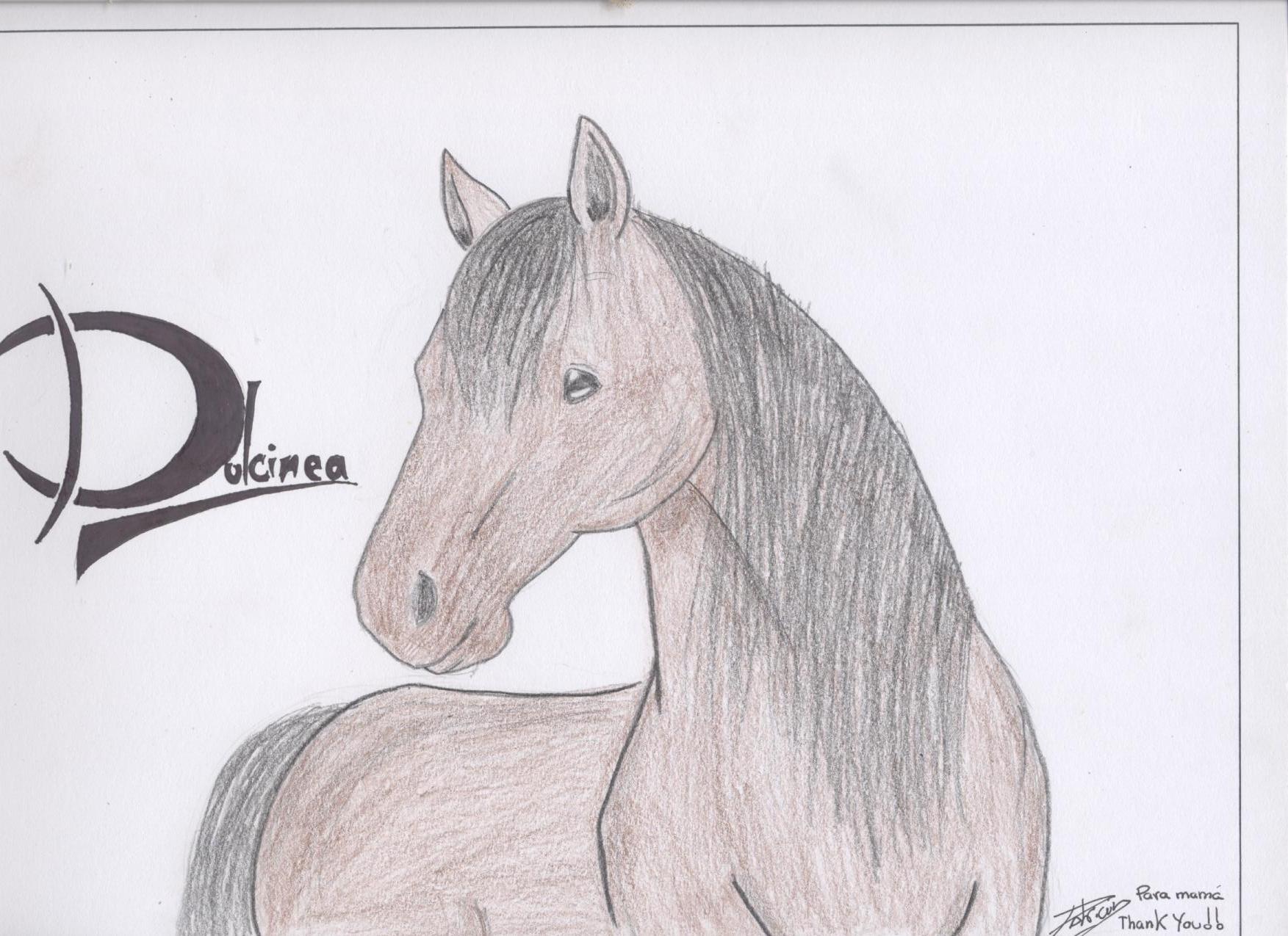 Dulcinea by The_horse_rider