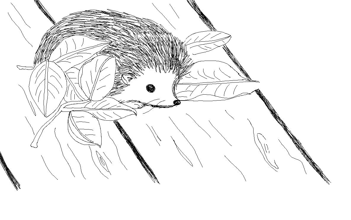 My little hedgehog by The_horse_rider