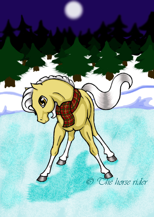 Ice skating by The_horse_rider