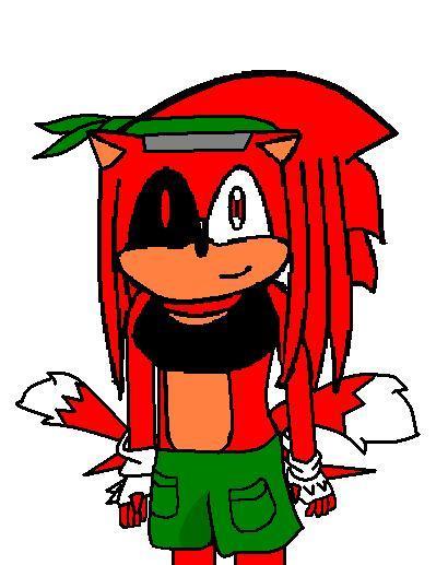 foxy ecidna hedghog(sonic's oldest niece) by Themysticunicorn