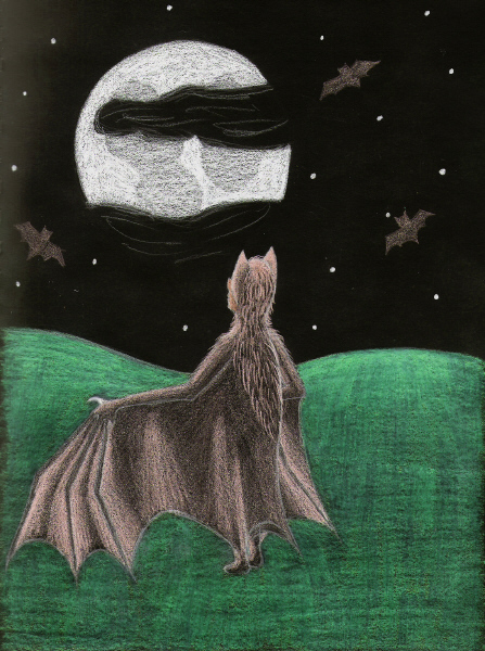 Being a Bat by Thirteen_Black_Roses