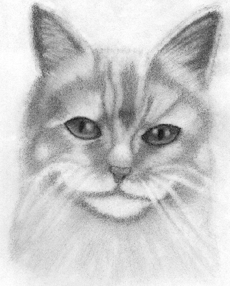 4 Garnet_Lynx cat!! by TifaBakura