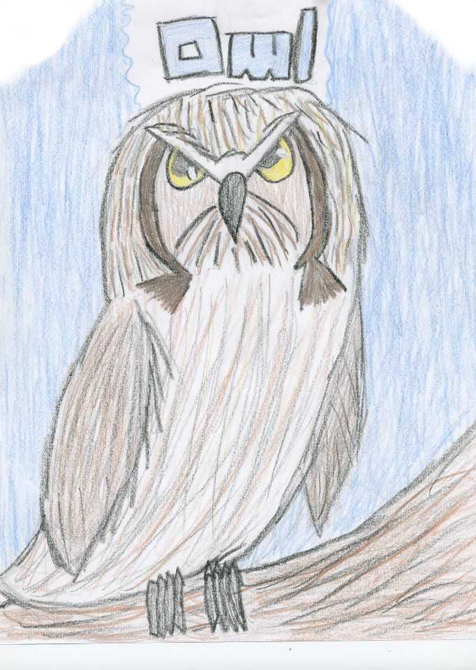 Owl by TigerGus