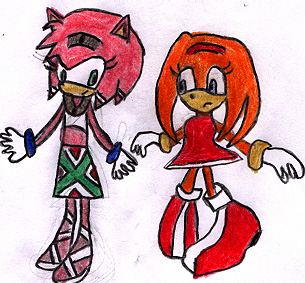 Tikal and Amy Switch Clothes! by TikalLover